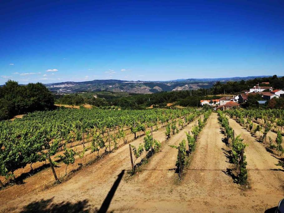 Quinta da Eira Douro Valley Fermentoes  Esterno foto