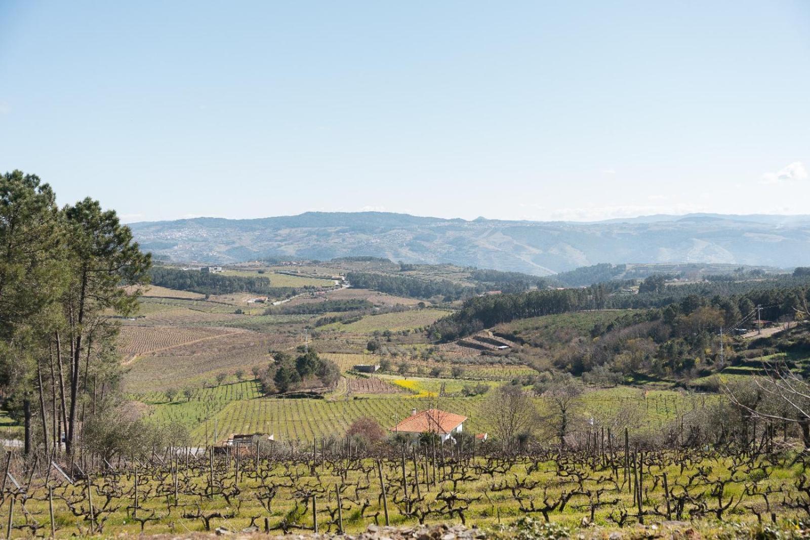 Quinta da Eira Douro Valley Fermentoes  Esterno foto